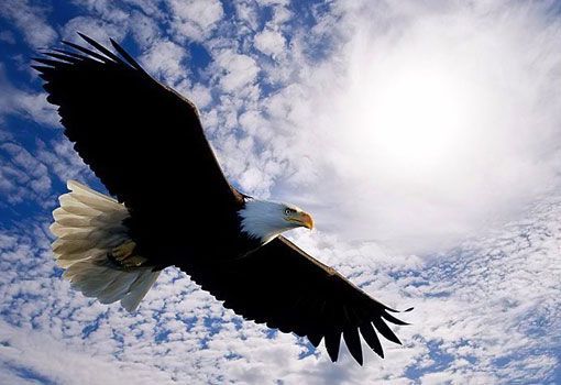 Бортас Сулейменов