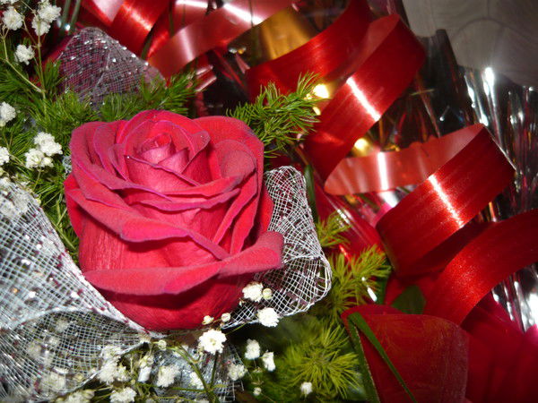 Надюшка Соник