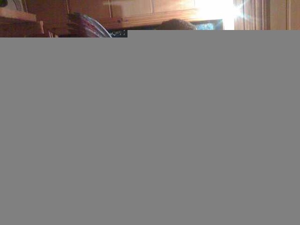 Андрей Гусев