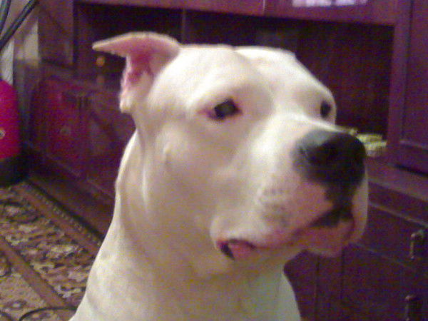 Валерий Бельчев