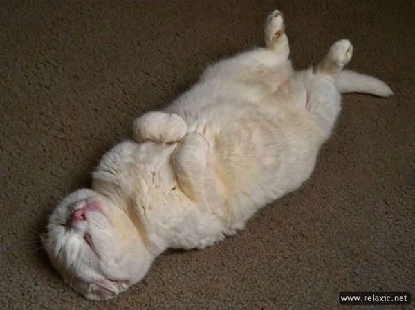 Марк Тиберий