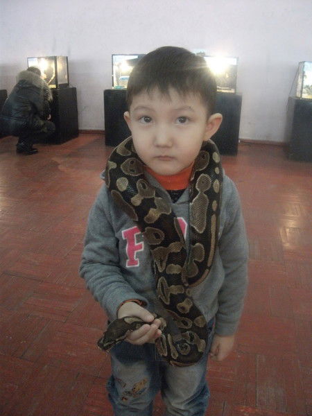 Кайрош Алма