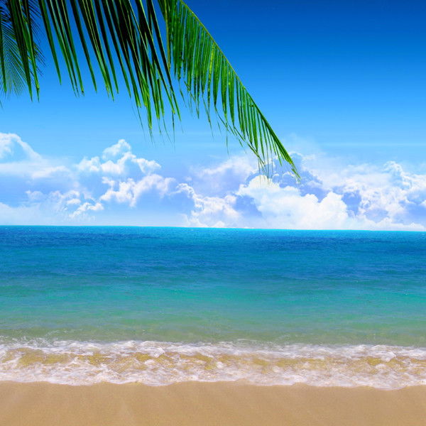 Петр Шодоров