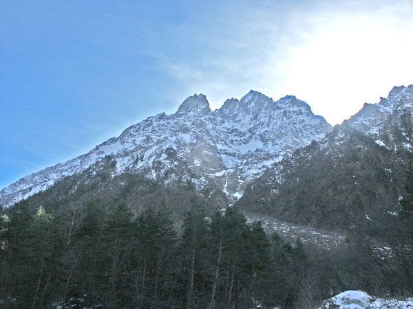 Светлана Казакова