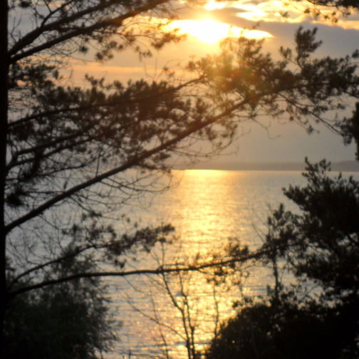 Лидия Михайлова