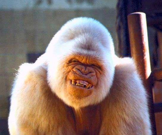 Владимир Тушин