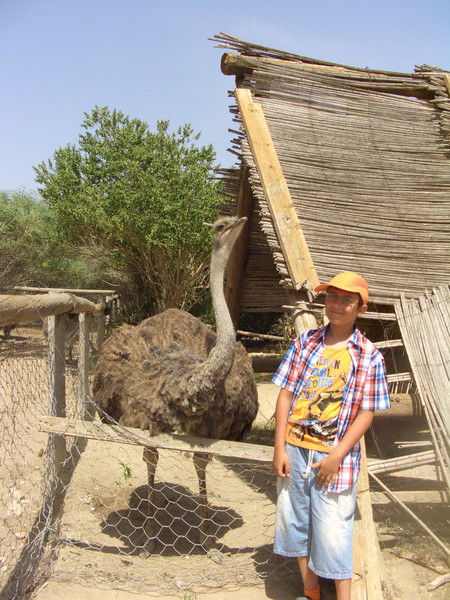 Вячеслав Сальков