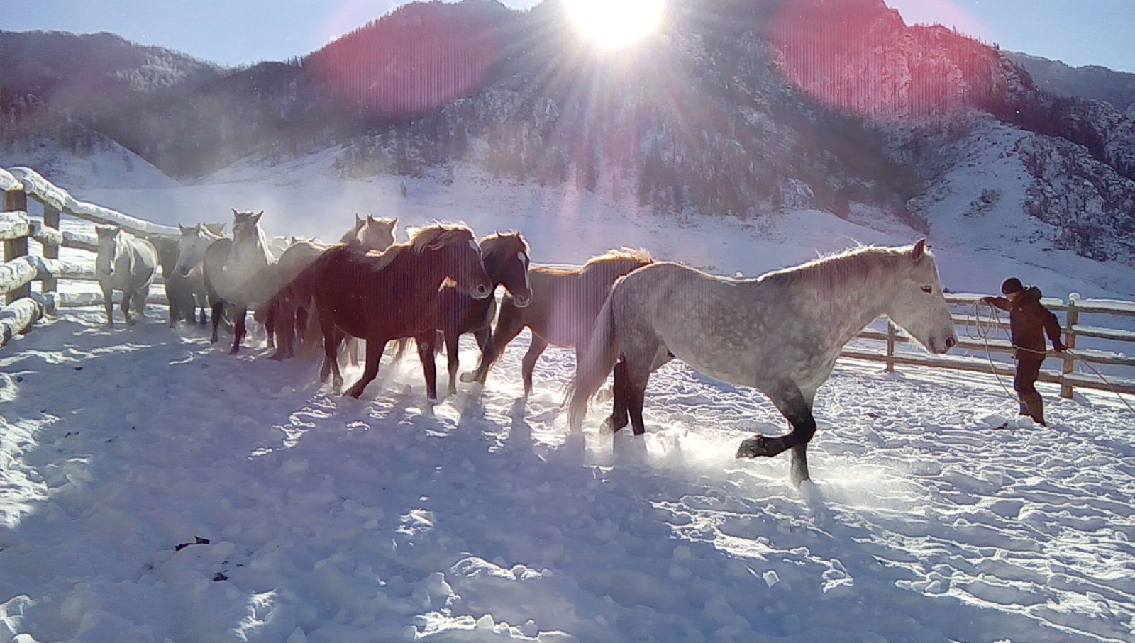 Артем Бабаев