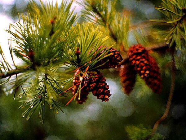 Отдел Снабжения