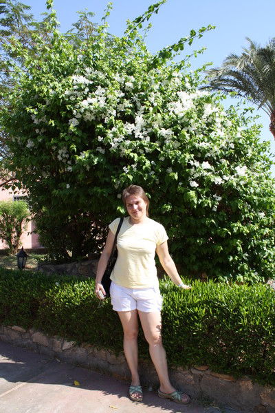 Лилия Костенко