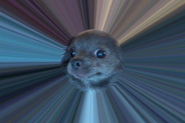 Лолита Блашкина