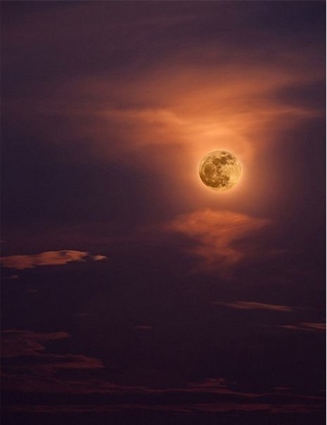 Ёзефф Грефф