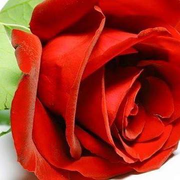 Виктория Балелая