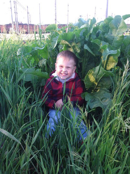 Владимир Шульгинов