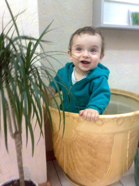 Вова Николовсий