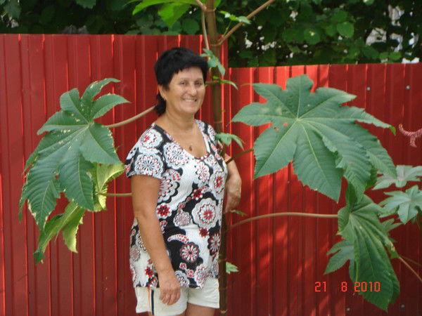 Наталья Грезент