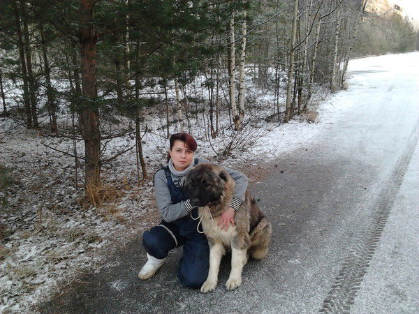 Елена Машевская