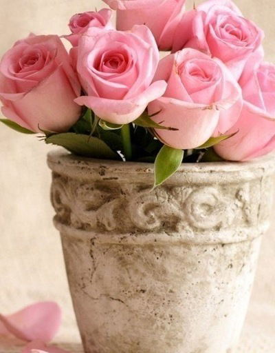 Оля Рукавицына