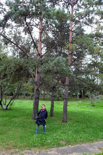 Алиса Вставская