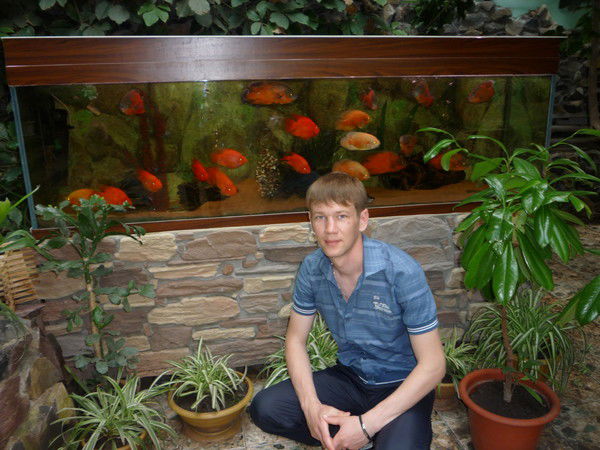 Александр Яковлев