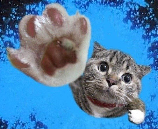 Андрей Плахов