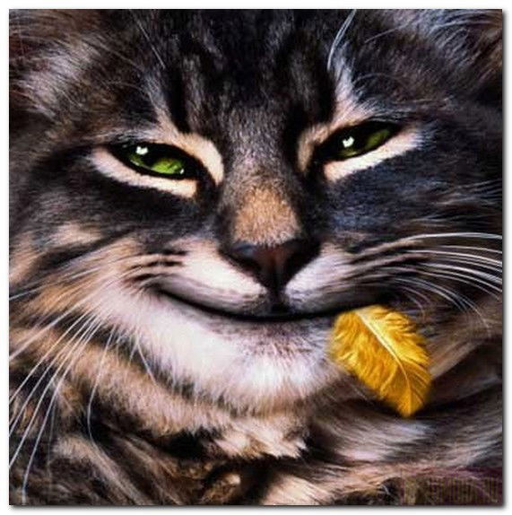 Юлия Скрыль