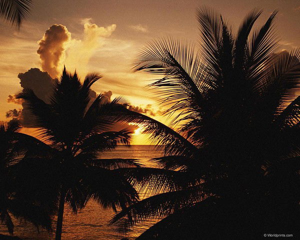 Маргарита Сухая