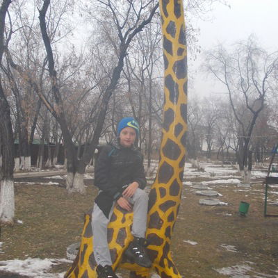 Роман Галюк