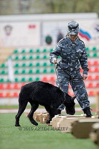 Анна Суворова