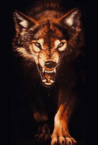 Бейбарс Хамзин