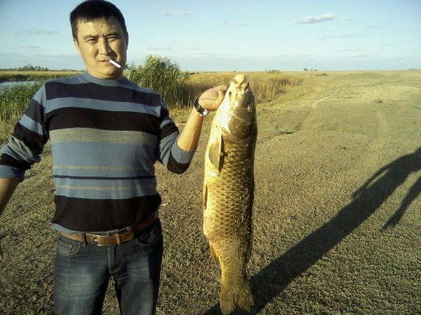 Нуркен Куспанов