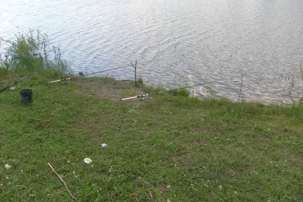 Дмитрий Мандрыченко