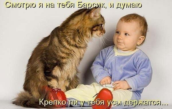 Саргатка Поликлиника