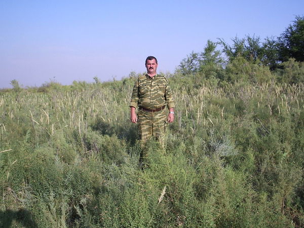 Александр Давыдюк