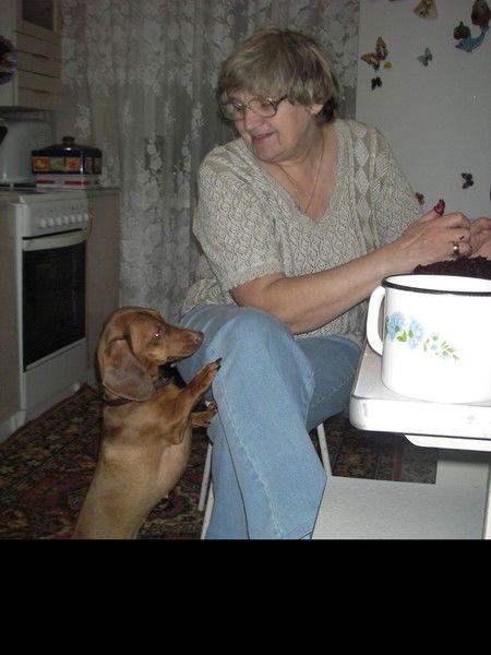 Валентина Кромм