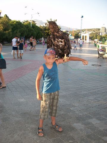 Захар Ярусенко