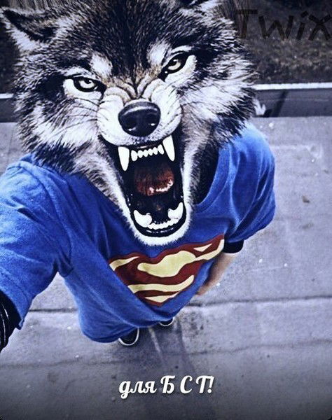 Багдатчик *красавчик*