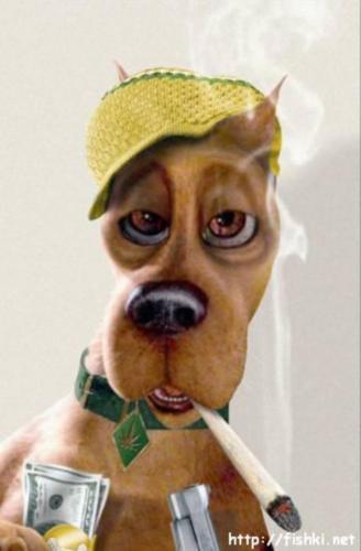 Вадим Михайлов