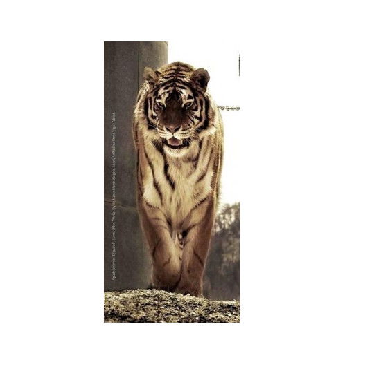 Андрей Клиновой