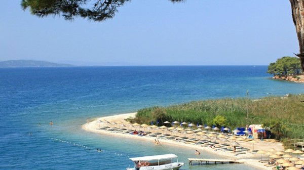 Дмитрий Коваль