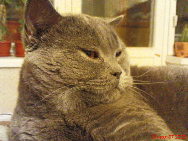 Владислав Седышев