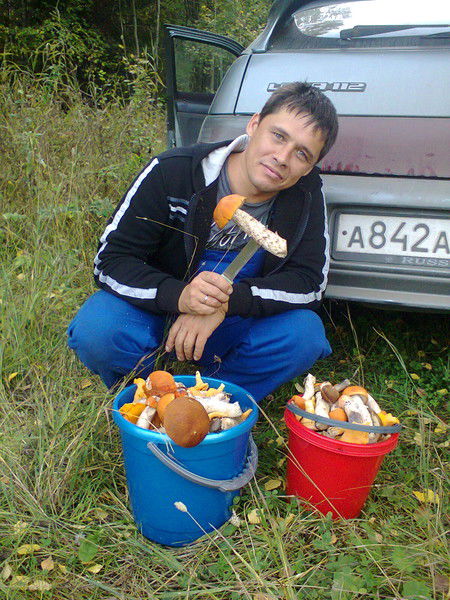 Евгений Низов