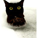 Екатерина Миронюк