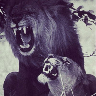 Иван Петров