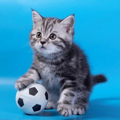 Ангелина Смирнова