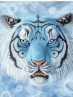 Эмиль Гайнуллин