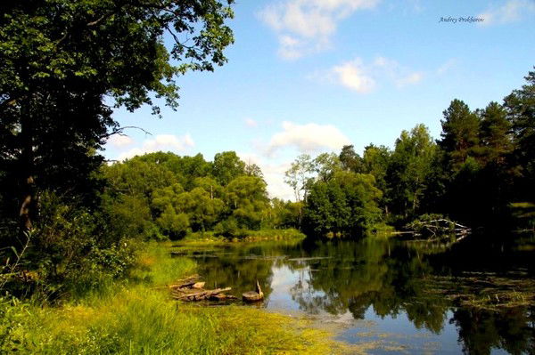 Владимир Меловацкий