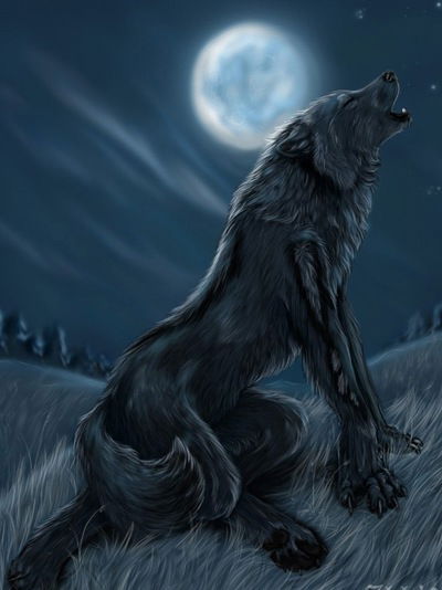 Алина Толстая