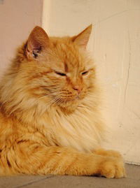 Лена Кузнецова