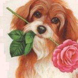 Андрій Матвійчук